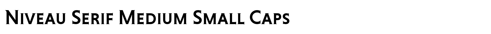Niveau Serif Medium Small Caps image